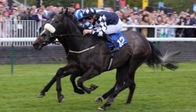 Queen Jo Jo wins Kilvington Stakes